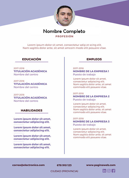 plantilla currículum ajustador
